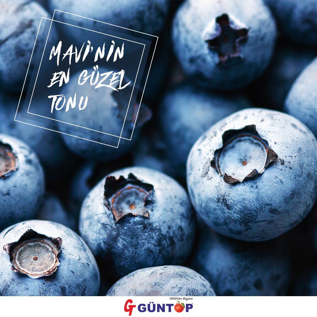 Meyvenin ve Sebzenin en güzel tonları GÜNTOP'ta

#güntop #guntop #bodrum #yazahazırız