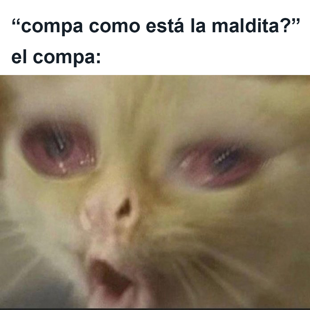 KFC on Twitter "si me decís que esta no pica yo ya no sé que hacer"