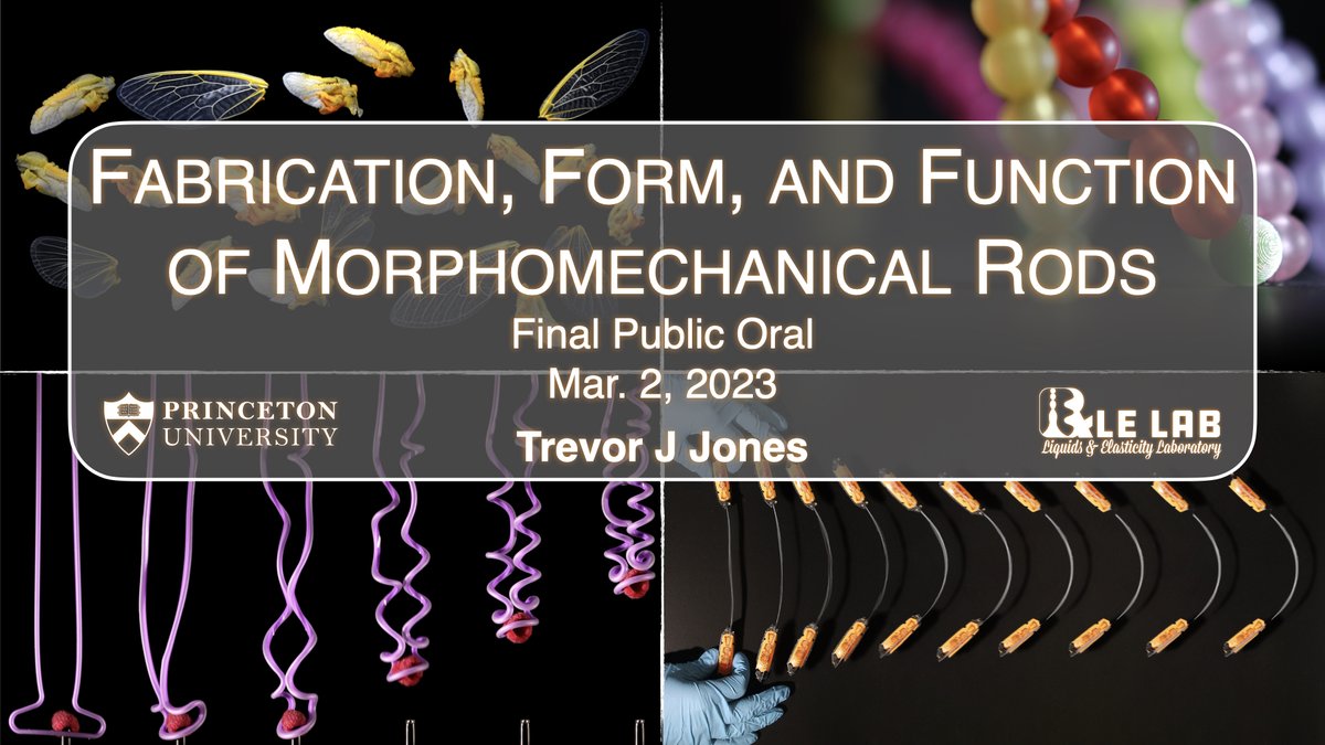 I am defending my PhD next Tuesday at 9:30am (ET).
cbe.princeton.edu/events/fabrica…

If you would like details on how to watch please contact me.