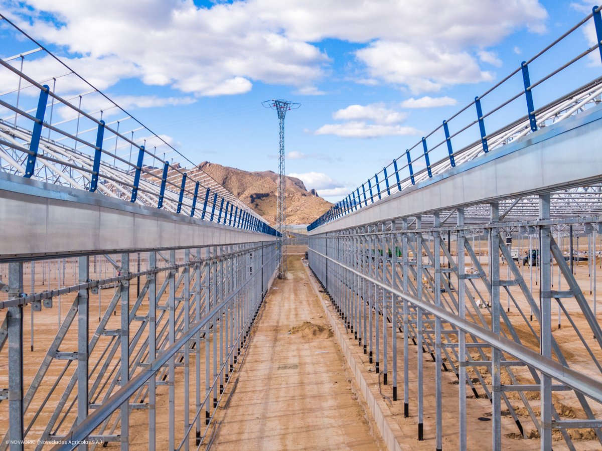 Novagric's tweet image. 🔝Instalación del prototipo real de la barandilla #BSAFE en un proyecto de invernadero

💡Este sistema de protección es solo el primer paso en nuestra búsqueda de generar soluciones para la seguridad en el sector agrícola. 

Conoce más detalles🔗🎥
youtube.com/watch?v=bVFucR…