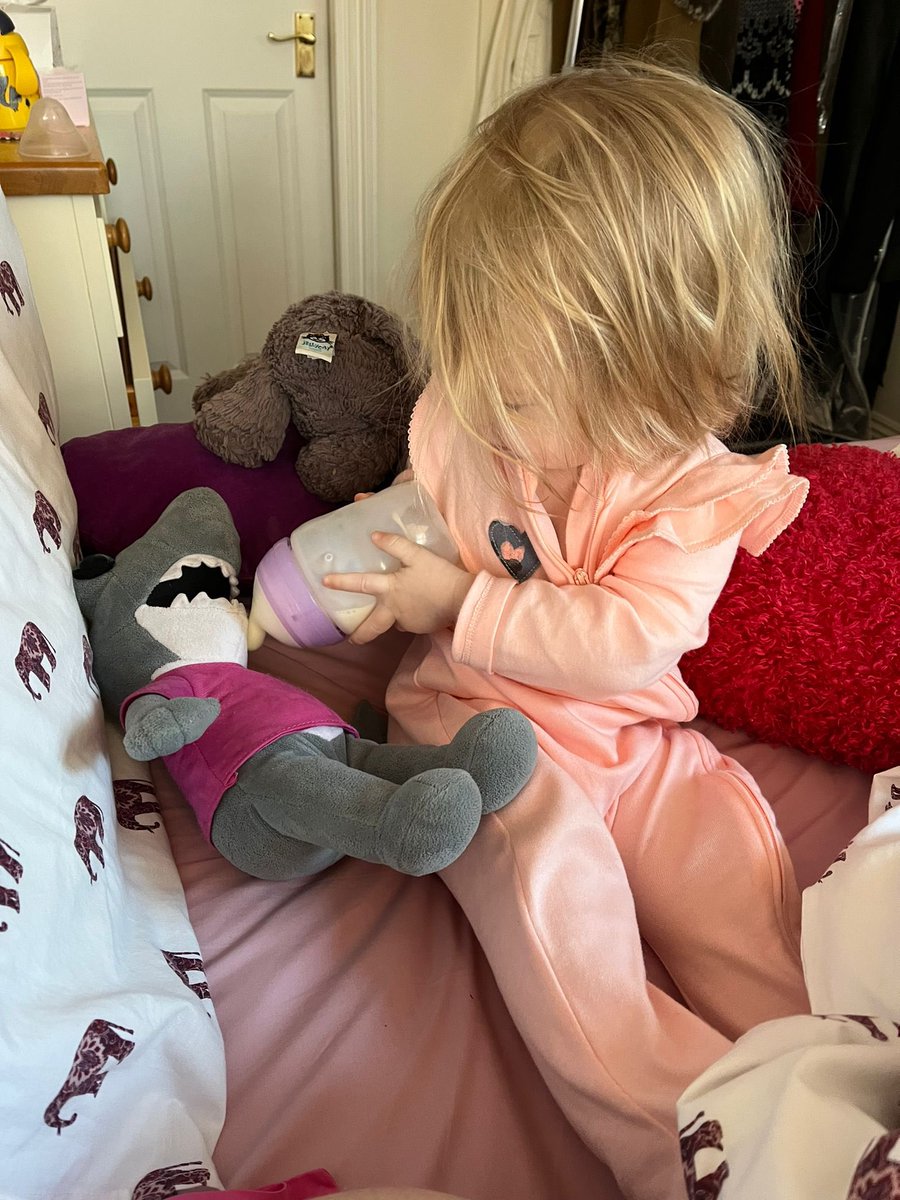ajhodges01's tweet photo. Hi everyone! My name is Lily and I’ve lost my best friend, #SidtheShark. My dad is on a mission to get me a replacement. Can anyone help? #sussexsharks #sussexccc #sussex #brighton #hove #findsidtheshark https://t.co/qUtRS5eAmP