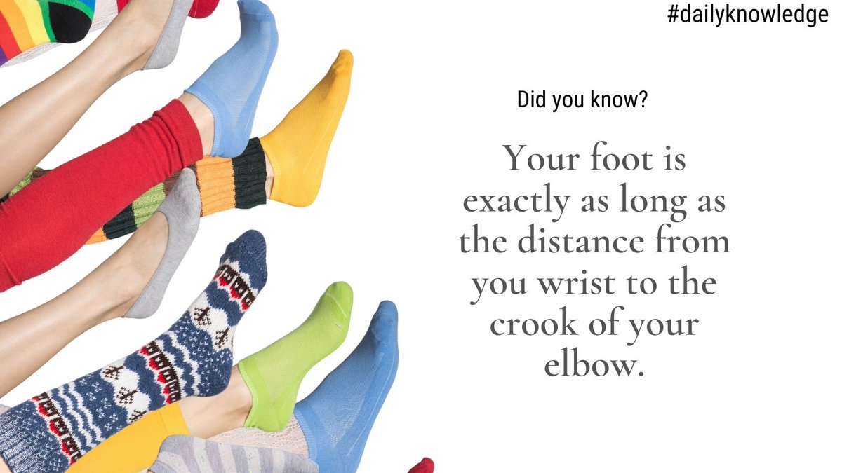 sobaniza's tweet photo. Did you know?
Your foot is exactly as long as the distance from you wrist to the crook of your elbow.
#zubairsobani #ThinkV #TDM #TDAC #TDC #rethinkhrs #antal #bpo #alsafafood #inspectpros #robotsatwork #kochs #GCPA #CDM #KSA #UAE #Pakistan #Oman #India #USA #Canada https://t.co/SCXhYnlNM5