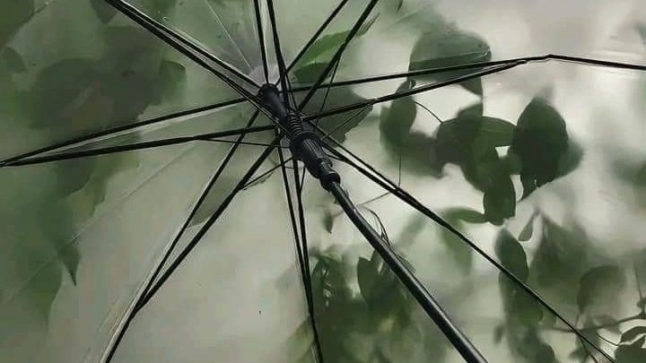 moodyonmoon's tweet photo. It hasn't stopped raining all day https://t.co/Lqqw9hVVMv
