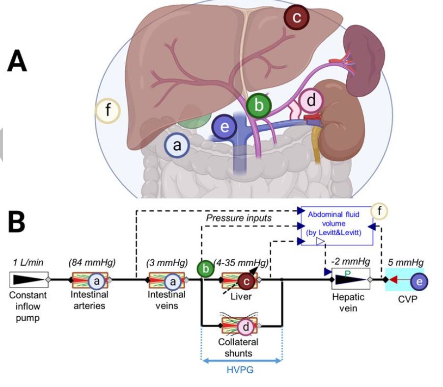 Elliot Tapper tweet media