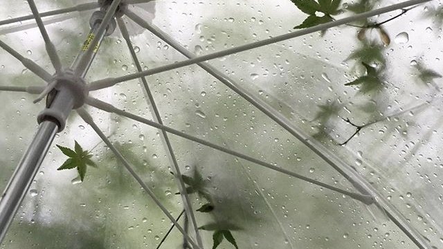 moodyonmoon's tweet photo. It hasn't stopped raining all day https://t.co/Lqqw9hVVMv