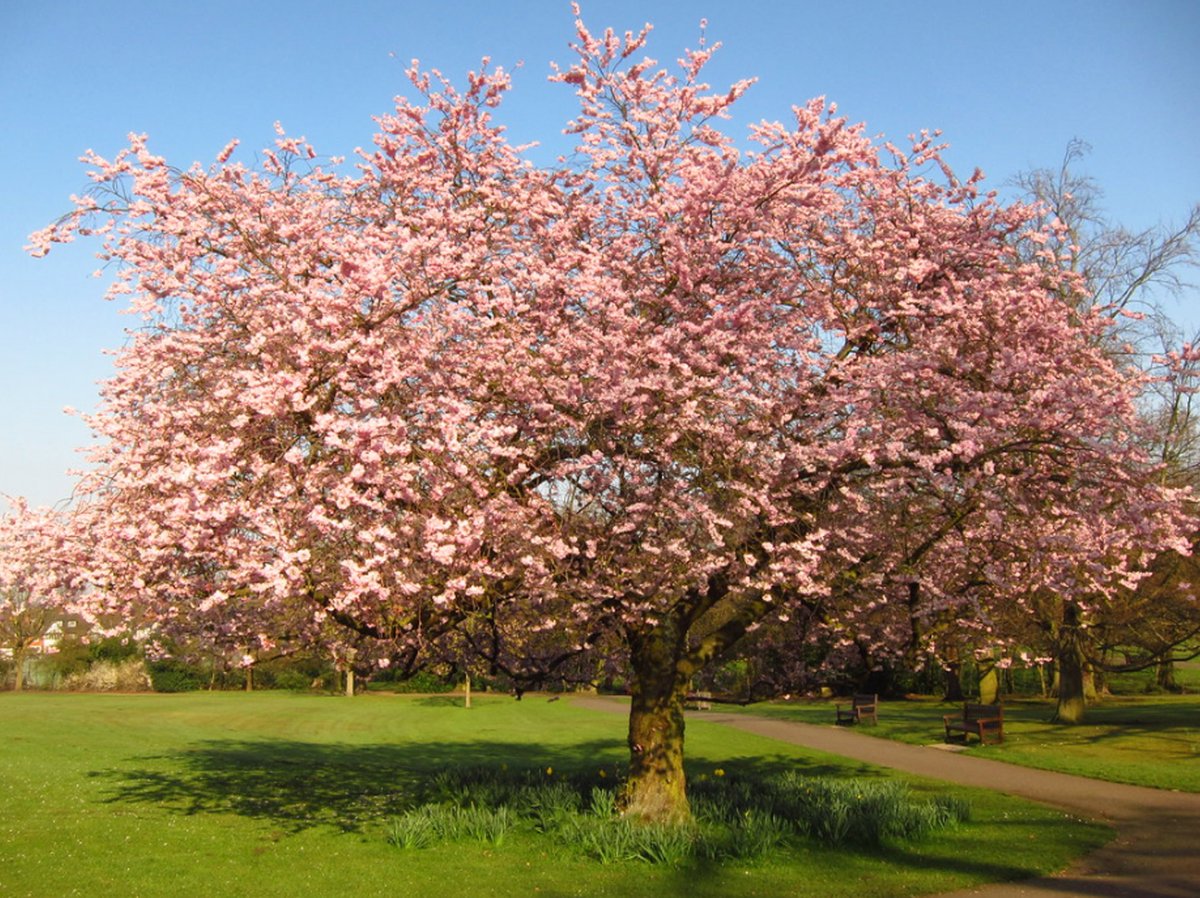 People's Trust for Endangered Species tweet media