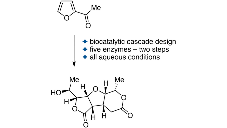 Angewandte Chemie on Twitter "An Artificial In Vitro Metabolism to