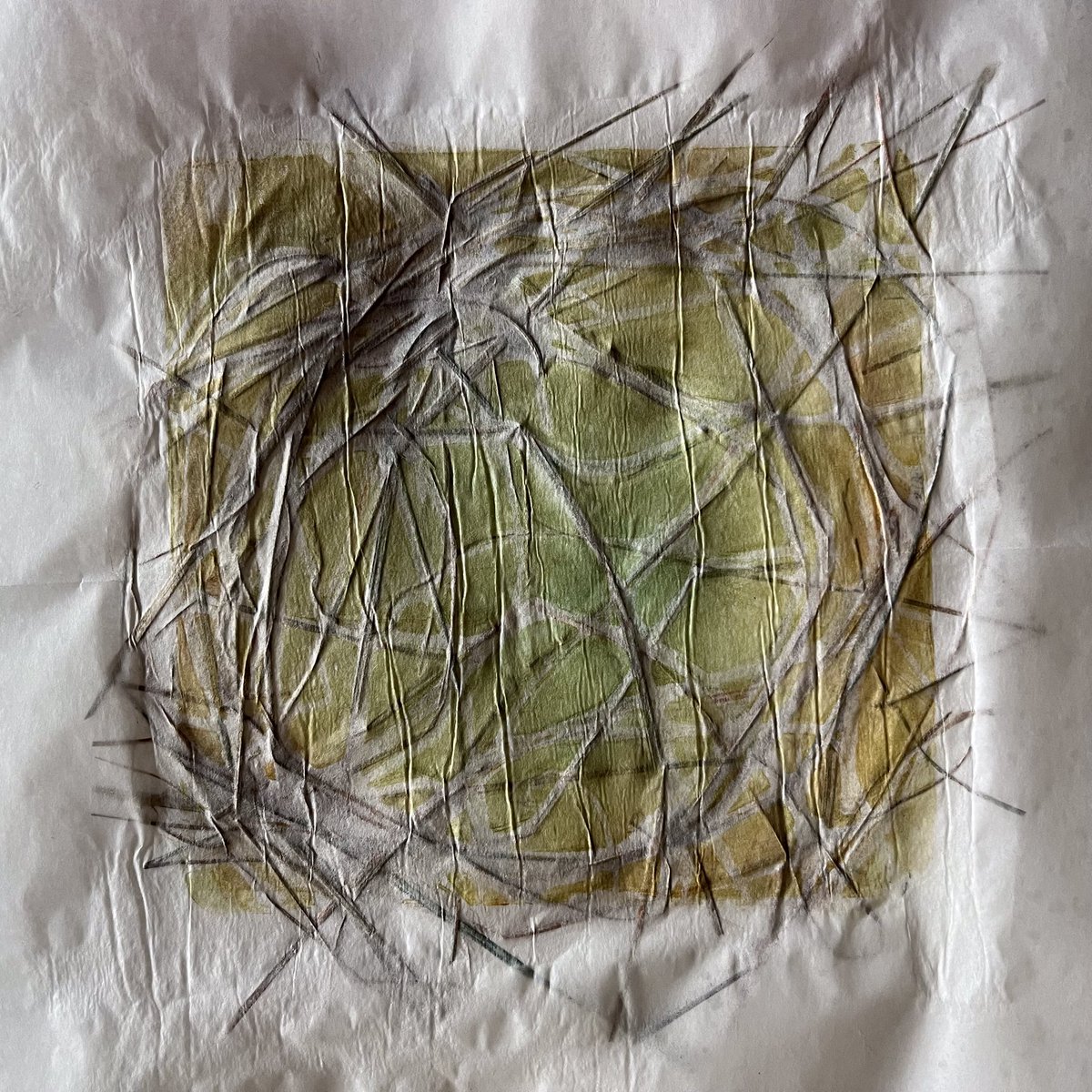 michelagriffith's tweet photo. A break (yay), started getting back into ‘it’, and then my uveitis resurfaces. Meh. So I won’t be fully back til my offset vision eases later next week. Meanwhile here’s Days 44-47 of #The100DayProject
#100daysofnature https://t.co/6R0TZW0aBi