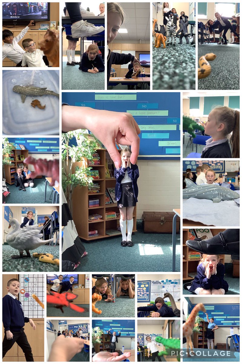 welholmeacademy's tweet photo. Year 4 have been creating perspective photographs this week. We had to think about where to place things in relation to the camera. #welholmecomputing #welholmey4 https://t.co/b9Iuemh4HA