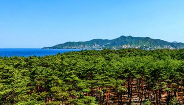 Songdan
On the east coast of Riwon County in South Hamgyong Province there is a 100-metre-wide thick pine forest in over 8-kilometre-long section.