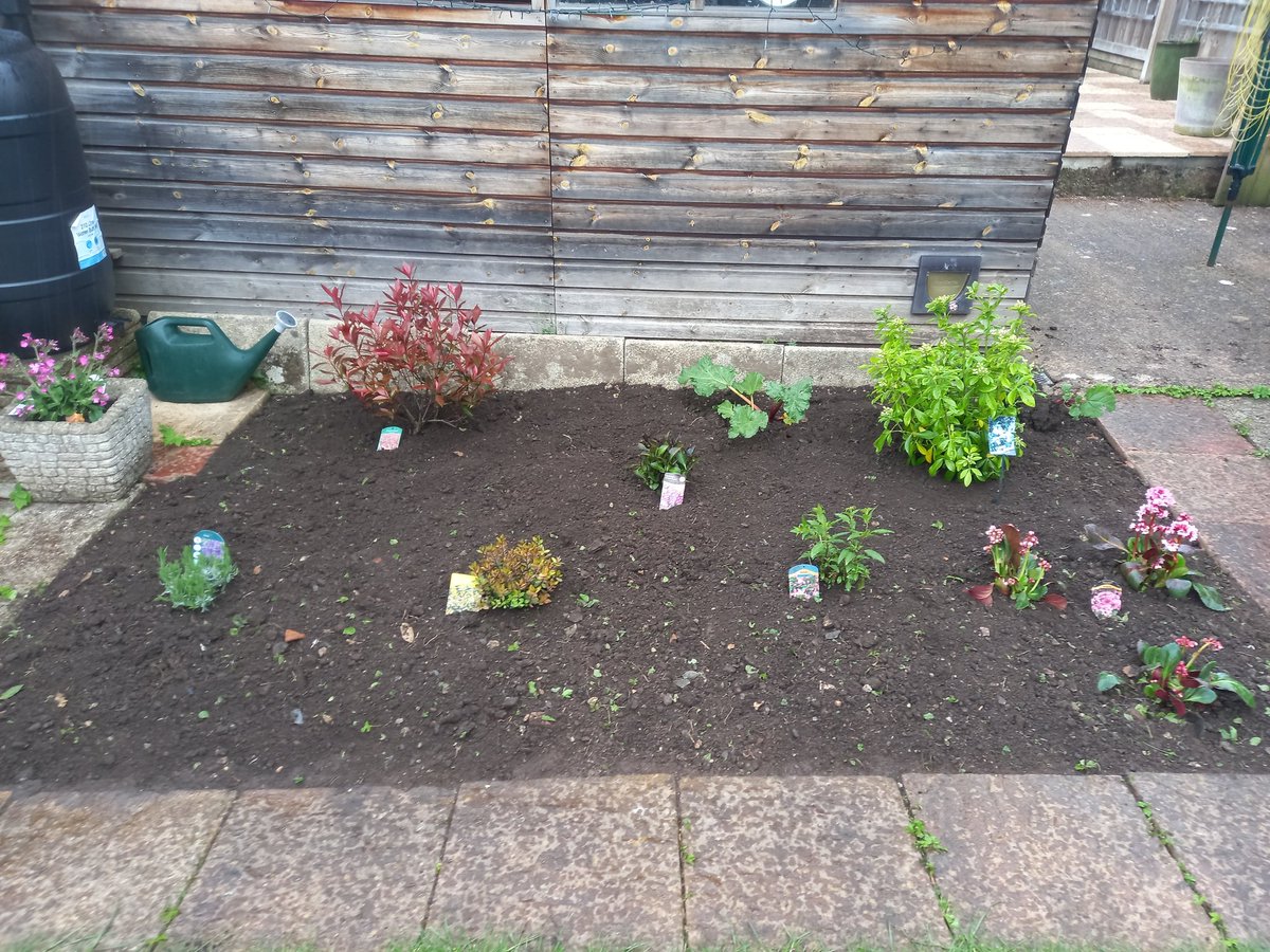 Improved a disused vegetable patch for a regular customer earlier in the week with some classic flowering shrubs. Just before MORE heavy rain came in!  Looking forward to seeing them mature over the upcoming seasons. 👍🏻👌🏻
