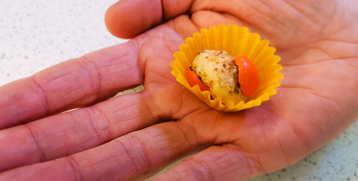 andrewcoppolino's tweet image. Retro #candy and new-fangled candy are on the menu tomorrow on #TheMorningEdition with @craignorriscbc @CBCKW891, 7:40 a.m. #SweetsForTheSweet.