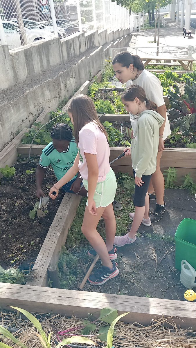 cpbvnavalazarza's tweet photo. Trabajamos y disfrutamos en nuestro #huerto 🧑🌾
#colegionavalazarza
#colegiofeliz #sanagustíndelguadalix #ilusión #tallerhuerto #huertoecologico #actividadhuerto #compostera https://t.co/tAxulxYMUH