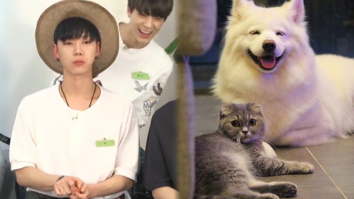NDoJeno1's tweet photo. 55555555555 https://t.co/1JFSHgMJeF
