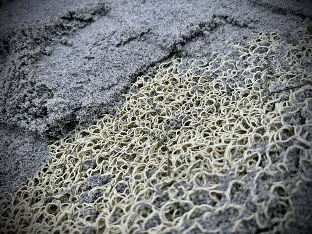 Tom Butcher tweet media