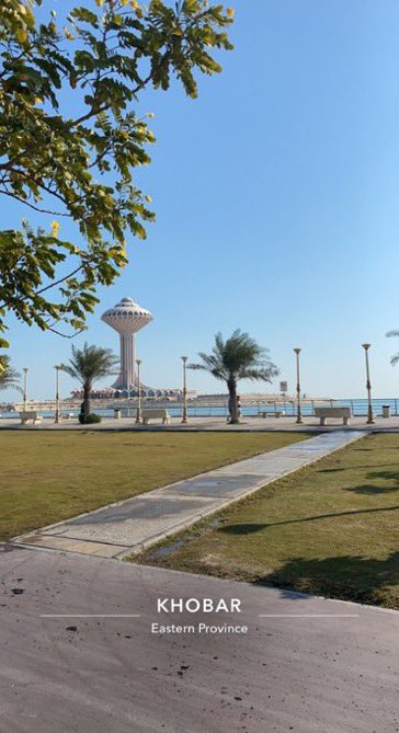 الظهران tweet media