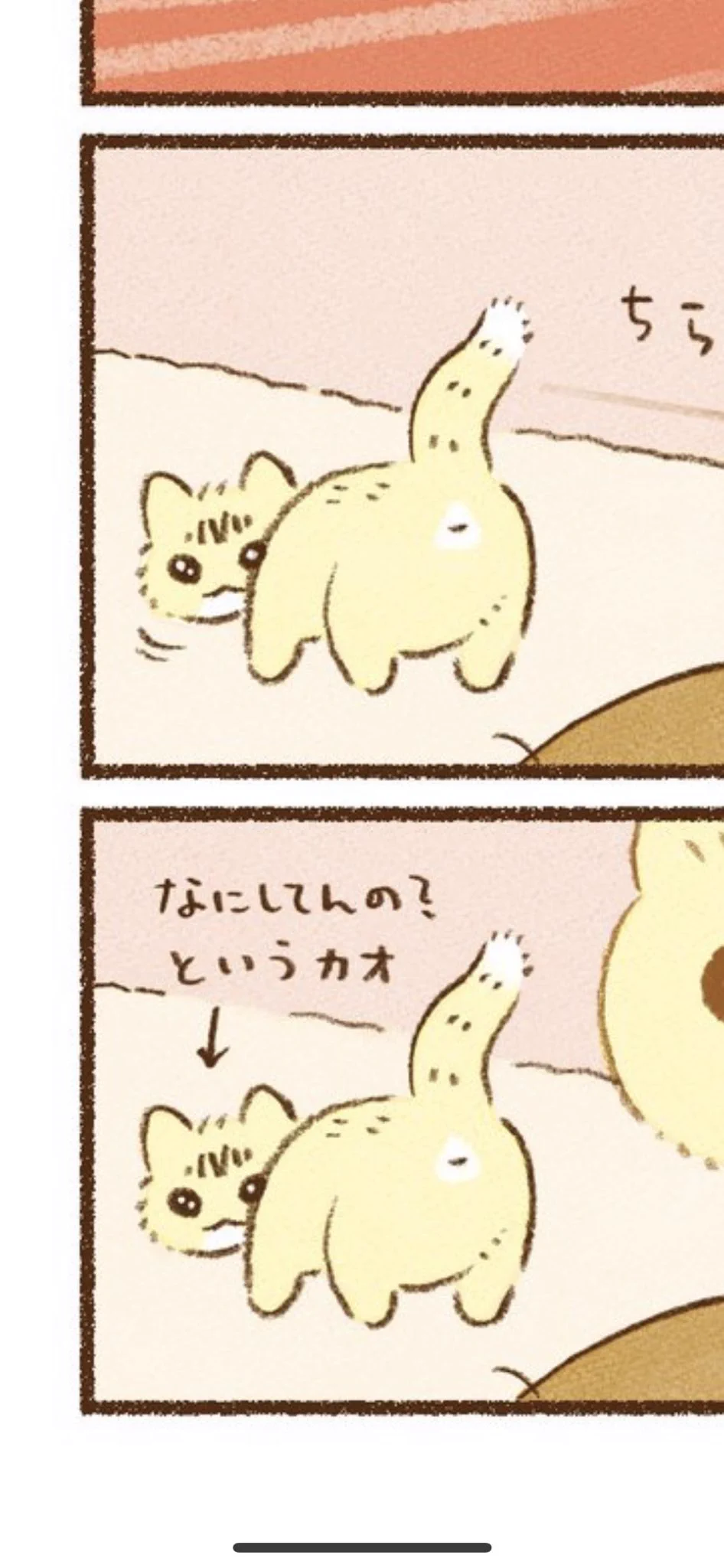 @ruuiruiruirui かわいすぎる😮‍💨😮‍💨😮‍💨 