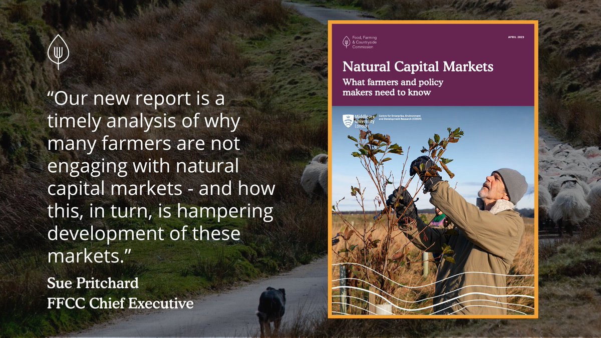 FFC_Commission's tweet photo. Today: new #NaturalCapital analysis highlights the urgent need for government to put in place the necessary guardrails, to ensure markets can develop in a fair and balanced way.

Read the briefing and full report👇
https://t.co/hkHipTQ7hW https://t.co/z3d2UKRR0i