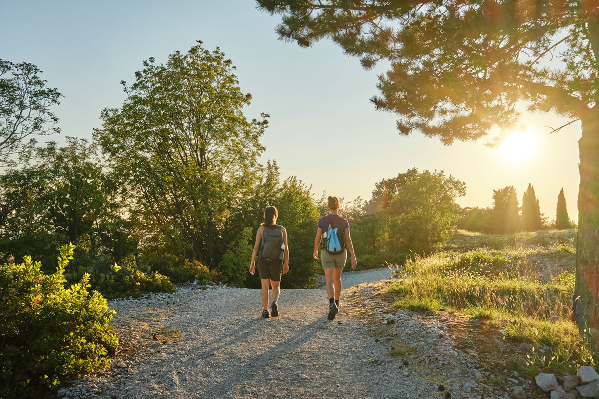 VisitFVG's tweet photo. 🚶 Trekking in Carso👉 "Primi passi da viandante: una giornata di cammino da #Aurisina a #Prosecco"
📅 Sabato 29 aprile, con una guida esperta, sperimenta in prima persona uno dei tratti più belli del Carso triestino👉 https://t.co/7cTCGIeXrM

#iosonofvg #fvglive https://t.co/ldzzzemx2R