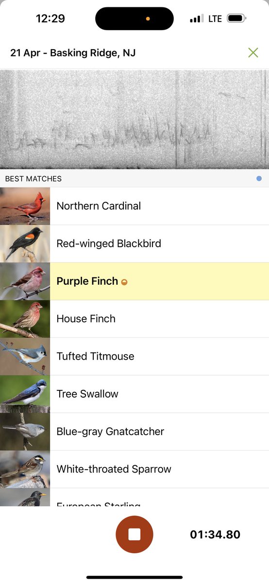 The Hoarse Whisperer tweet media