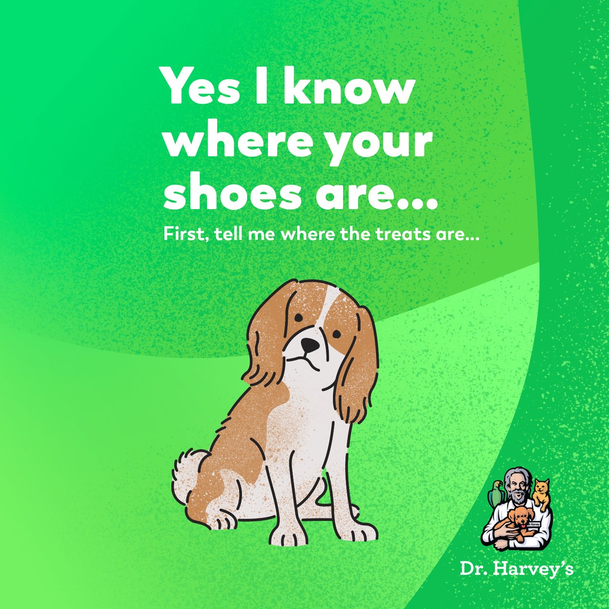drharvey's tweet image. Feel good about giving in to their demands with our healthy, single ingredient treats and chews. Trust us, dogs love &apos;em more than the taste of your shoes 🤣   #deepdogthoughts #drharveysdogs #dogmemes #dogtreats #healthydogtreats #dogchews
