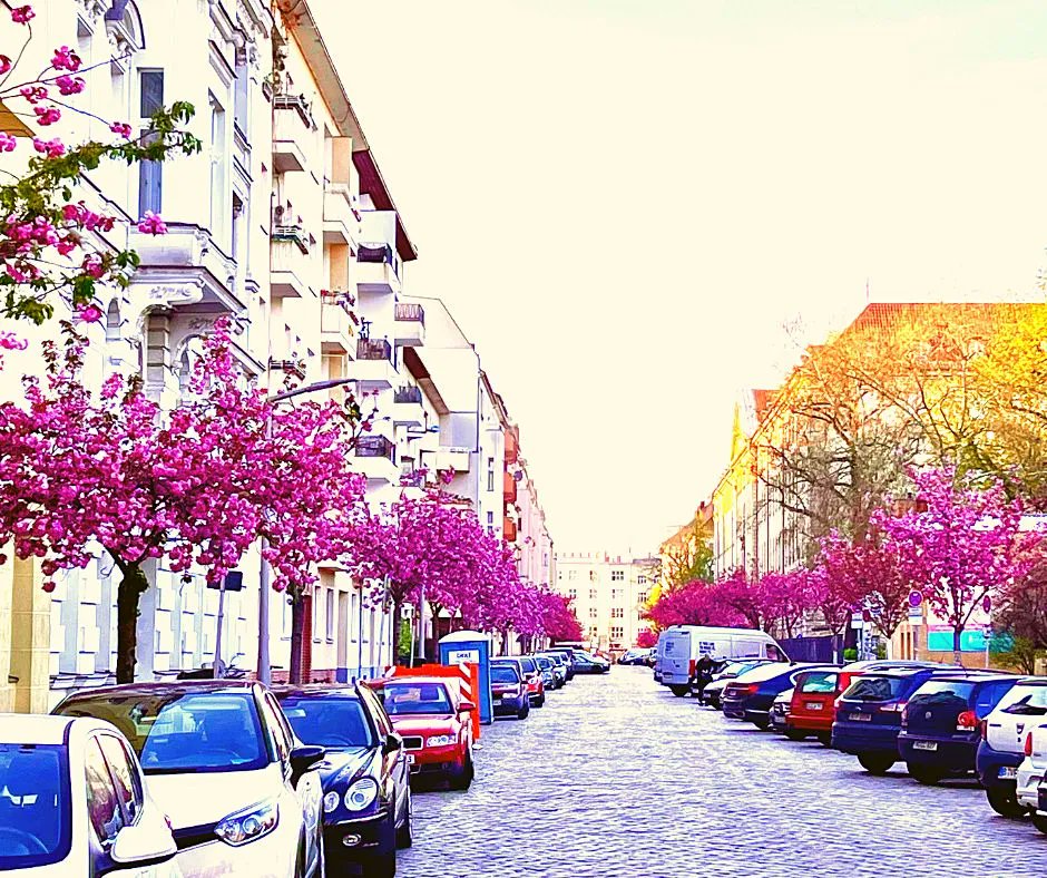 ArcherBerlin's tweet image. Have you seen the #cherryblossoms in Berlin? 
(Hurry! They only bloom two weeks a year.) 

#Spring (Northern Hemisphere) is a PERFECT TIME to #MovetoGermany

#Berlin hosts many events during spring. For inspiration, look out for our next post.

#BerlinLife #relocationspecialists