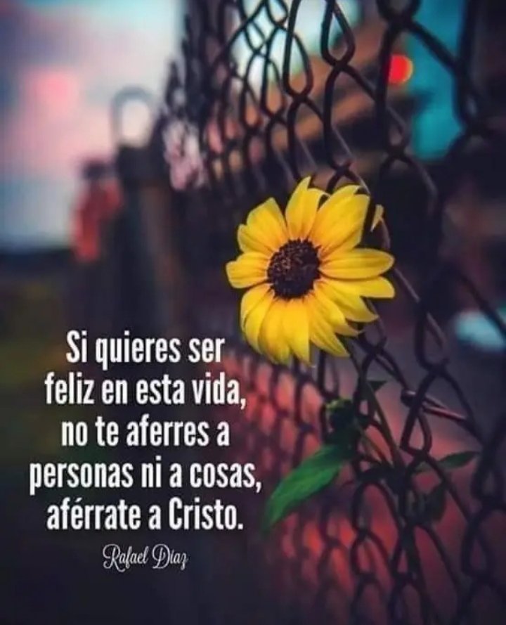 Dios les bendiga #27Abr #LevantenElBloqueoYa <a href="/josepla79731234/">joseplaza</a> <a href="/alan09346149/">alan</a> <a href="/antoima_yalitza/">yalitza antoima</a> <a href="/AntoimaYannsen/">Antoima Yannsen</a> <a href="/CarreoM73/">Carreño Maria</a> <a href="/Gladys10925/">Gladys</a> <a href="/guillvirfuent1/">Guillvirfuent@hotmail.com</a> <a href="/Idalia50M/">Idalia50M</a> <a href="/j_jainel_medina/">Jainel Medina</a> <a href="/jesus372333/">mildre</a> <a href="/JoseHer63743351/">Jose Hernandez</a> <a href="/manuel8289/">Manuel</a> <a href="/sainjosetadeo/">Sain Tadeo</a> <a href="/plazayude0/">yude</a> <a href="/pedrovalvula/">pedro carreño</a> <a href="/nayelys1119972/">nayelys</a>