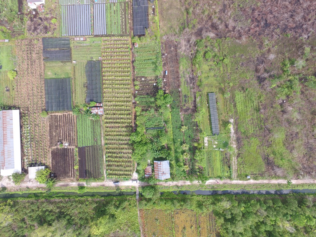 Jonay Jovani (@jonayjovani) on Twitter photo I am delighted to share our latest #peatpaper published online (accepted article) in <a href="/GlobalChangeBio/">Global Change Biology</a> about CH4 and N2O emissions from tropical #peatlands in SE Asia. Final proof-checked version available soon.
onlinelibrary.wiley.com/share/REUBNJFW…
<a href="/UKCEHPapers/">UKCEH Paper Alerts</a> <a href="/UoNBiosciences/">UoNBiosciences</a>
<a href="/SueSep5/">Prof Sue Page #WeAreTheUniversity 💙💚</a> I am delighted to share our latest #peatpaper published online (accepted article) in <a href="/GlobalChangeBio/">Global Change Biology</a> about CH4 and N2O emissions from tropical #peatlands in SE Asia. Final proof-checked version available soon.
onlinelibrary.wiley.com/share/REUBNJFW…
<a href="/UKCEHPapers/">UKCEH Paper Alerts</a> <a href="/UoNBiosciences/">UoNBiosciences</a>
<a href="/SueSep5/">Prof Sue Page #WeAreTheUniversity 💙💚</a>