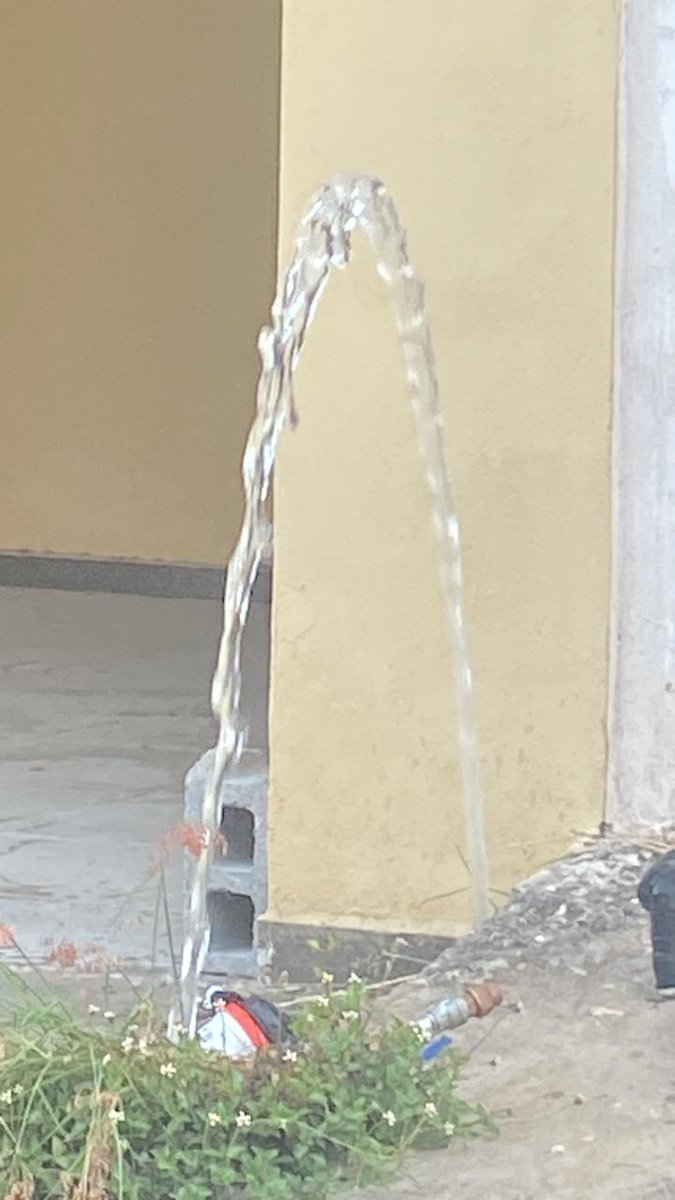 RodHuys's tweet image. Dos días de esta fuga, reportada con @AyD_ParaTi y ni sus luces.
Privada Vesubio, Cumbres Élite Premier