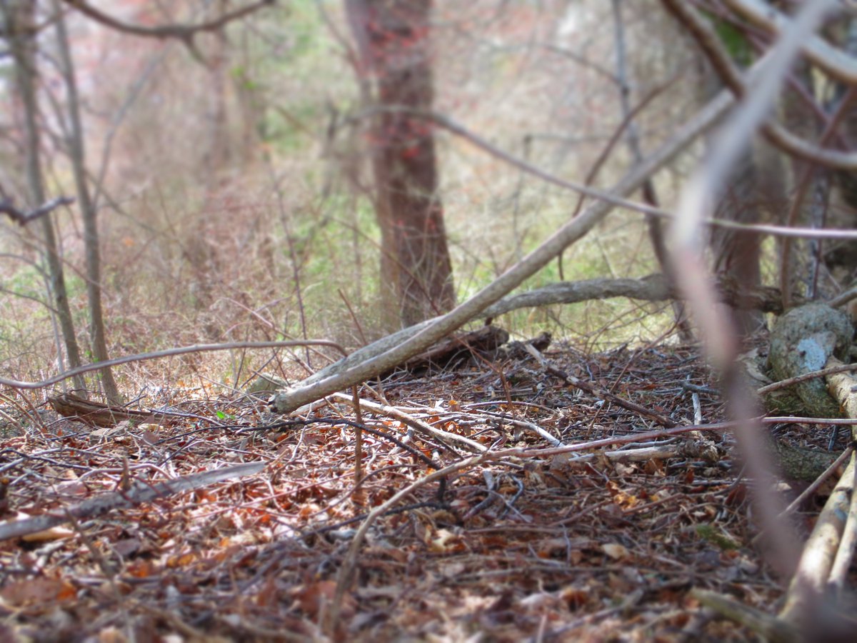 Katharine Brummett tweet media