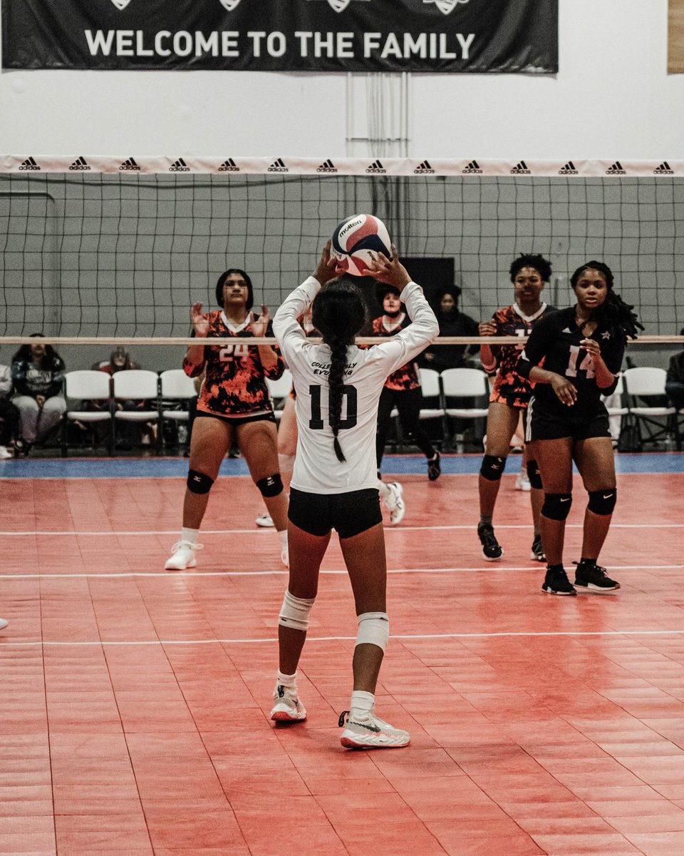 CE_StarsVB's tweet photo. Shots from the weekend 📸🏐 #cevb https://t.co/opyXyWMAlP