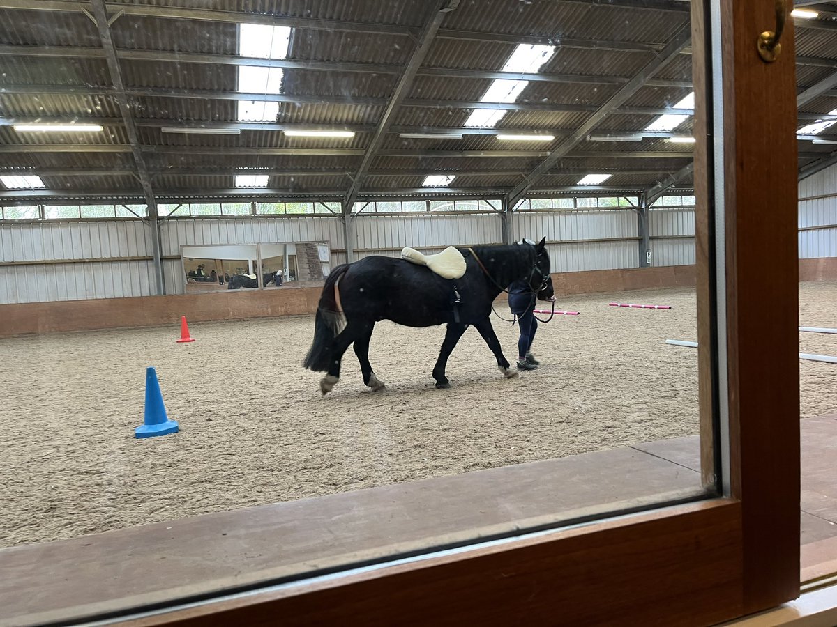 Fabulous chance to take the senior team to meet the riders, horses and team at <a href="/RDAnational/">Riding for the Disabled Association (RDA)</a> in the Scottish Borders - truly inspirational - over £4.8m from our players has gone to support their work #PeoplePower <a href="/PostcodeLottery/">Postcode Lottery</a> <a href="/lauragchow/">Laura Chow (she/her)</a>