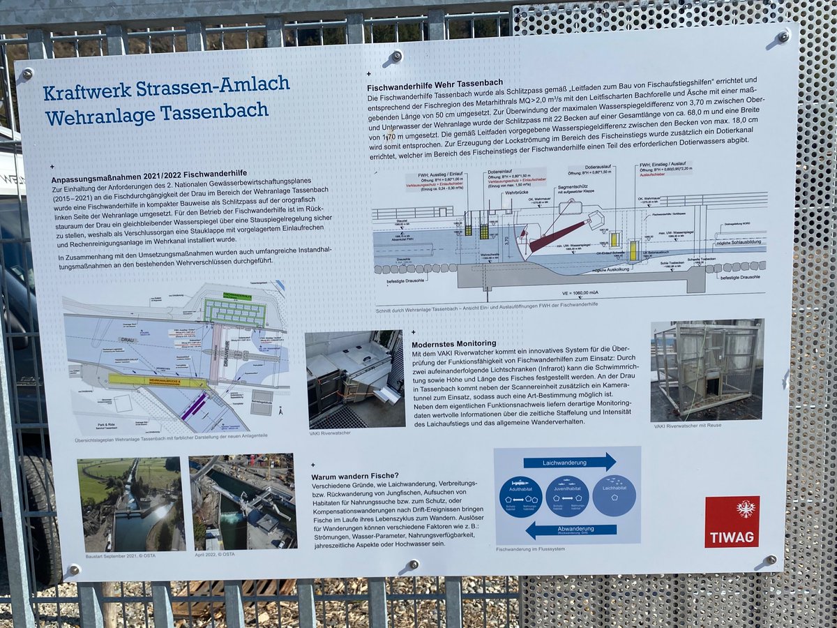 m_schletterer's tweet photo. In 2022 the #fish continuum at the weir #Tassenbach at the #Drava river was re-established with a vertical-slot #fishway (#VSF) with 22 pools. Today we installed a @Riverwatcher_ for #monitoring purposes! #TIWAG #IamHYDRO https://t.co/NTA4q6YPYi