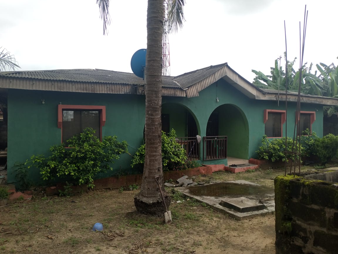TAMLProperties's tweet photo. A 4Bedroom apartment
Two all  ensuite
1 bathrooms
2 toilets
Pantry 
House foundation in front (uncompleted)
Documents
Deed of ownerships and other on request
Asking 20- 22m
 House located at Iyana School 
Igando https://t.co/fptR01Pjs7
