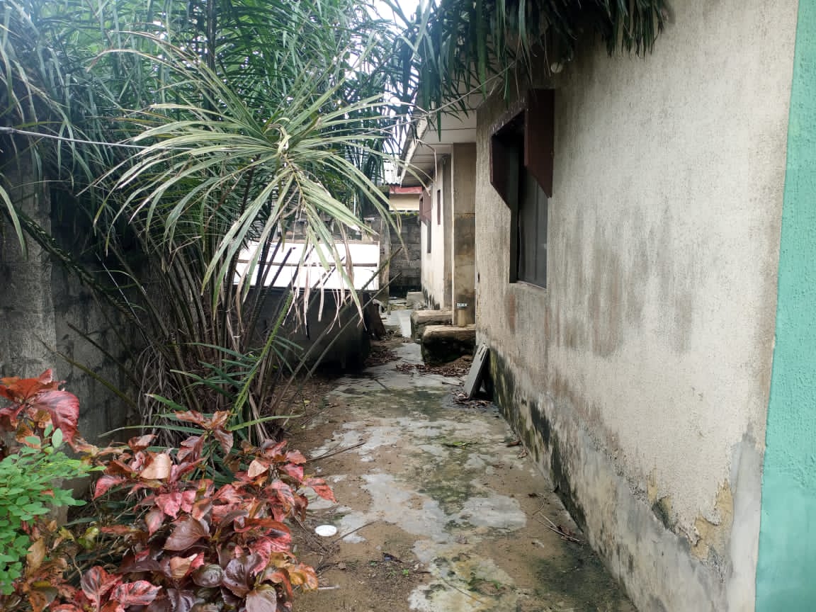 TAMLProperties's tweet photo. A 4Bedroom apartment
Two all  ensuite
1 bathrooms
2 toilets
Pantry 
House foundation in front (uncompleted)
Documents
Deed of ownerships and other on request
Asking 20- 22m
 House located at Iyana School 
Igando https://t.co/fptR01Pjs7
