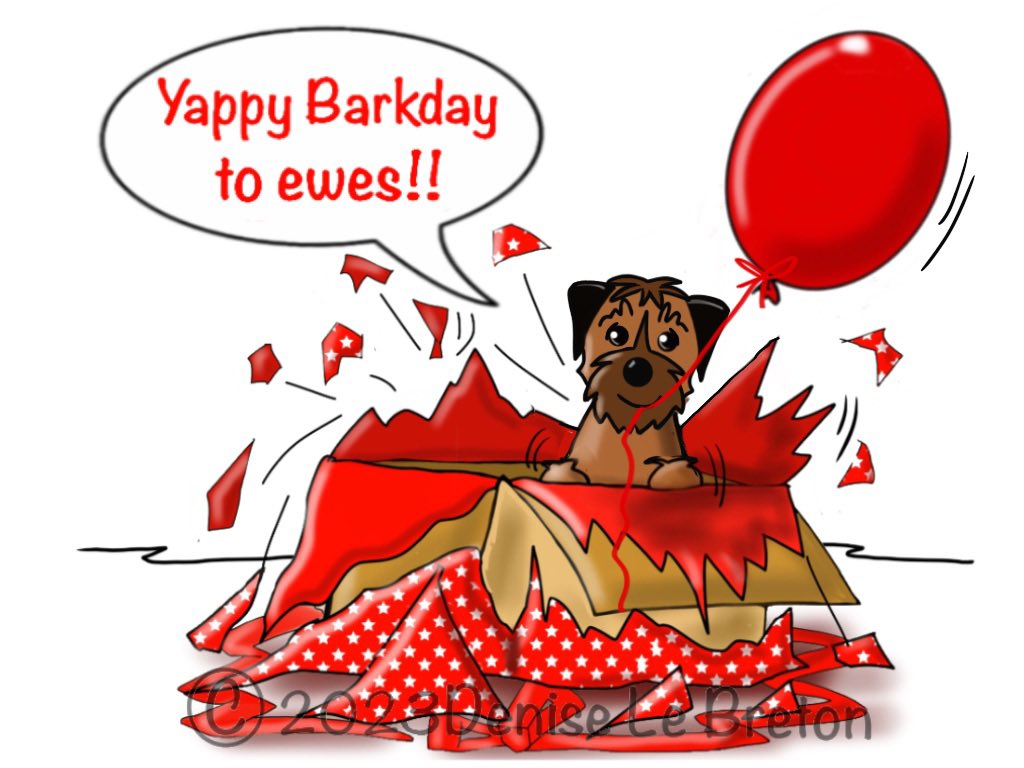 Sheldon the Border Terrier tweet media