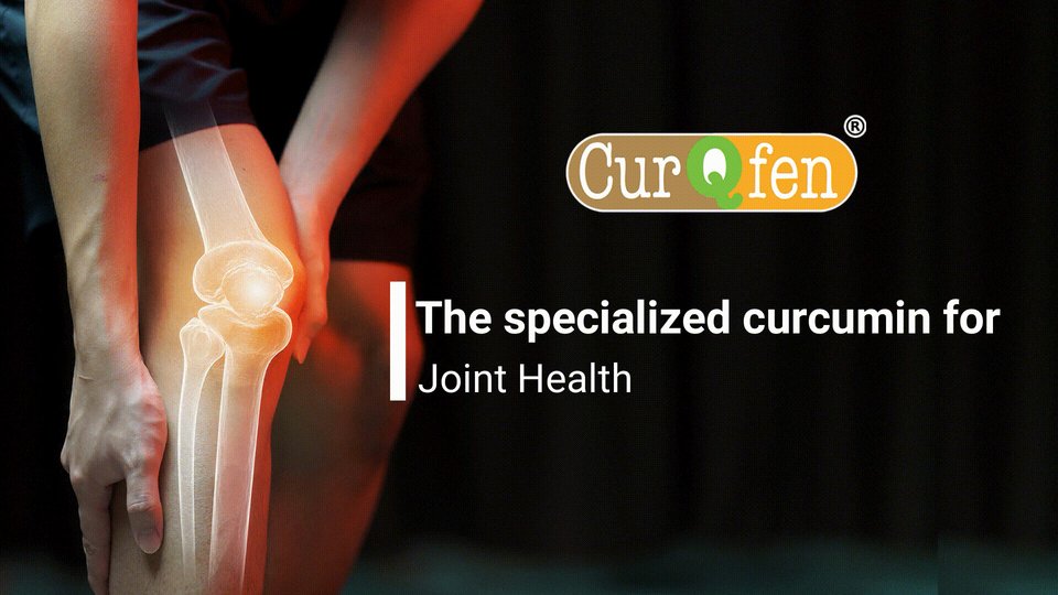 curqfen00's tweet image. CurQfen: A Natural Formulation for Joint Health and Osteoarthritis Management
#Turmericextract #Curcuminextract #Turmericmanufacturer
