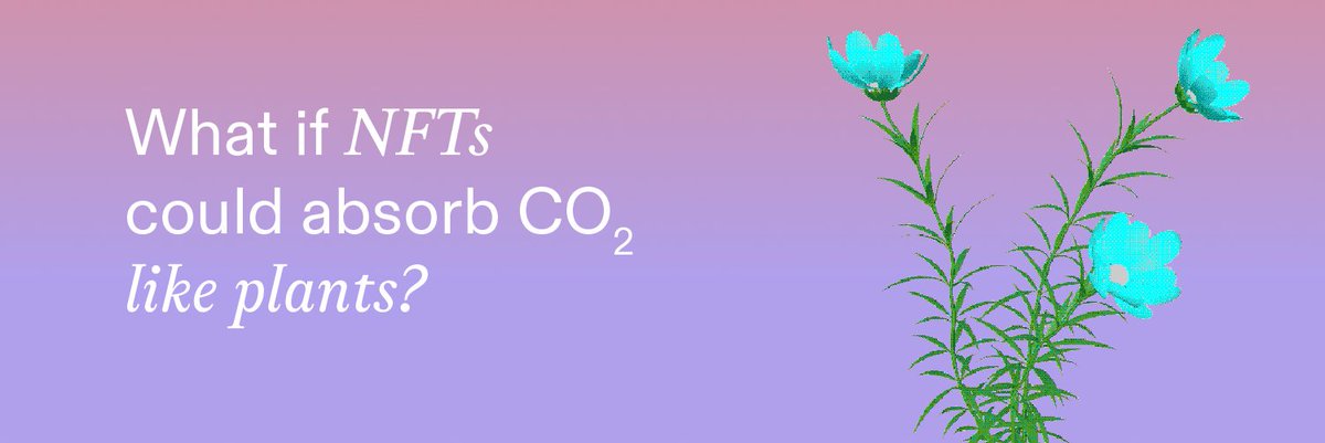 We're looking for people who are:

1. NFT owners 
2. Like art 🎨
3. Love nature 🌱
4. Hungry to change the world 🗺

Drop a comment👇🏽Drop a like 👍 Tag a fren 👯‍♂️

We want to collaborate with you to create something mind-blowing @NFPGarden 

#GitcoinBeta