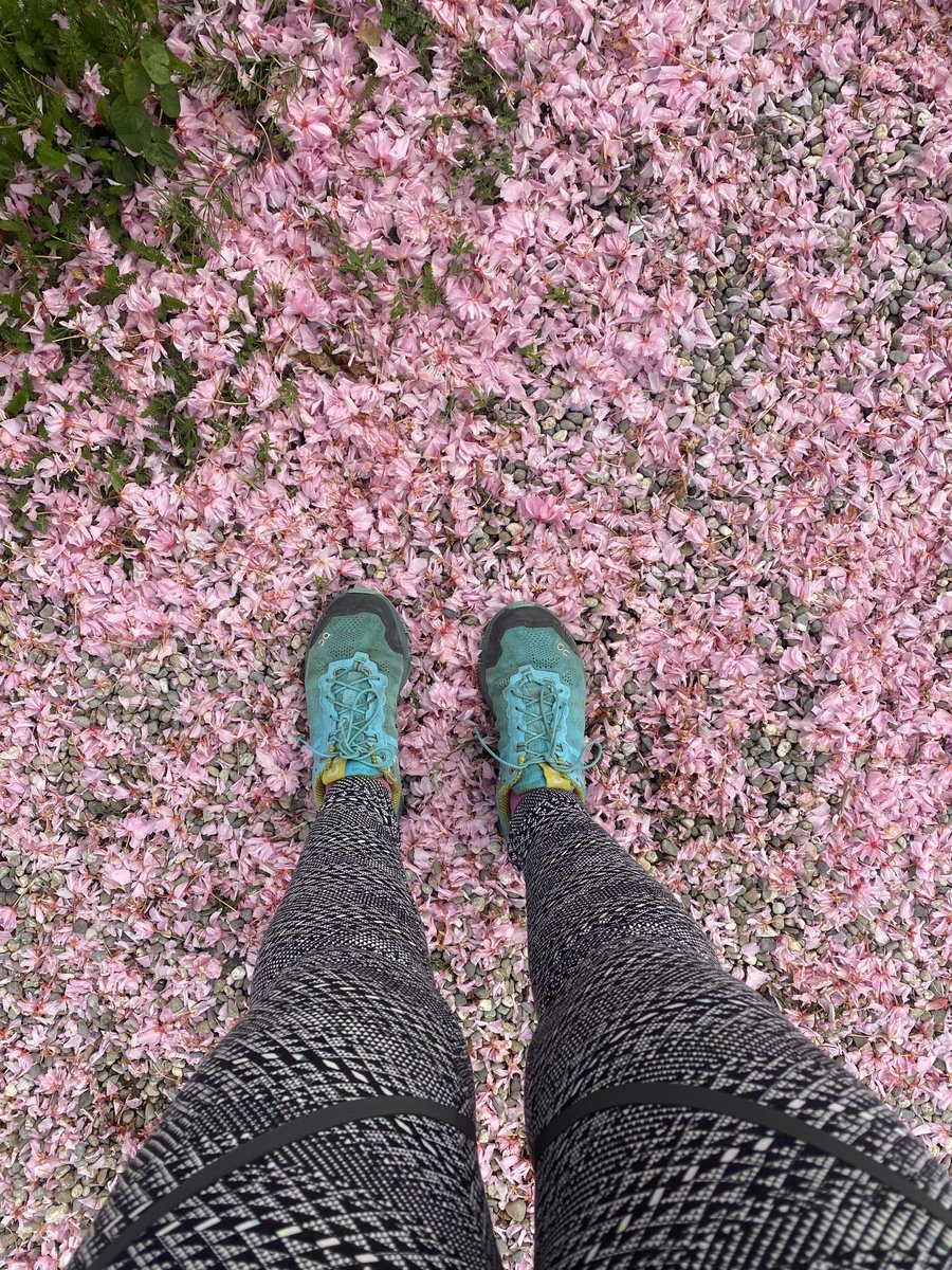 PinkTaxiRunner's tweet image. Nothingness has its purity. Like running ( in Switzerland ) #RabbitatRest #JohnUpdike