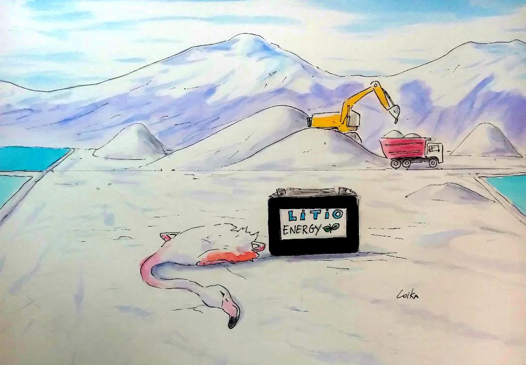 🔵 La explotación desmesurada de los salares que planta la #EstrategiaNacionalDelLitio fomenta la destrucción de los frágiles ecosistemas de salares en el norte de Chile.
-
🖌️ @alejandro_loika