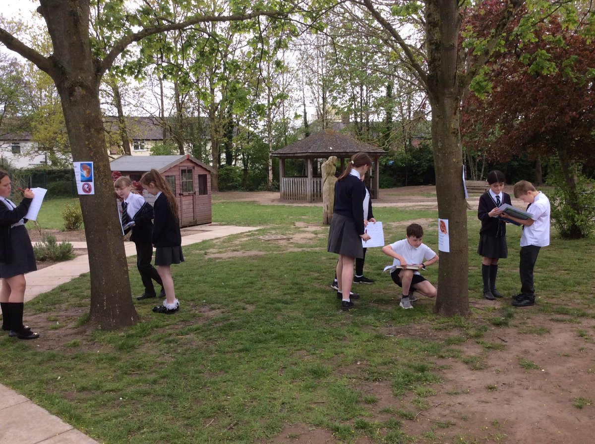 FPS_5_Ravenclaw's tweet image. Science investigation of baby development.#fpsscience