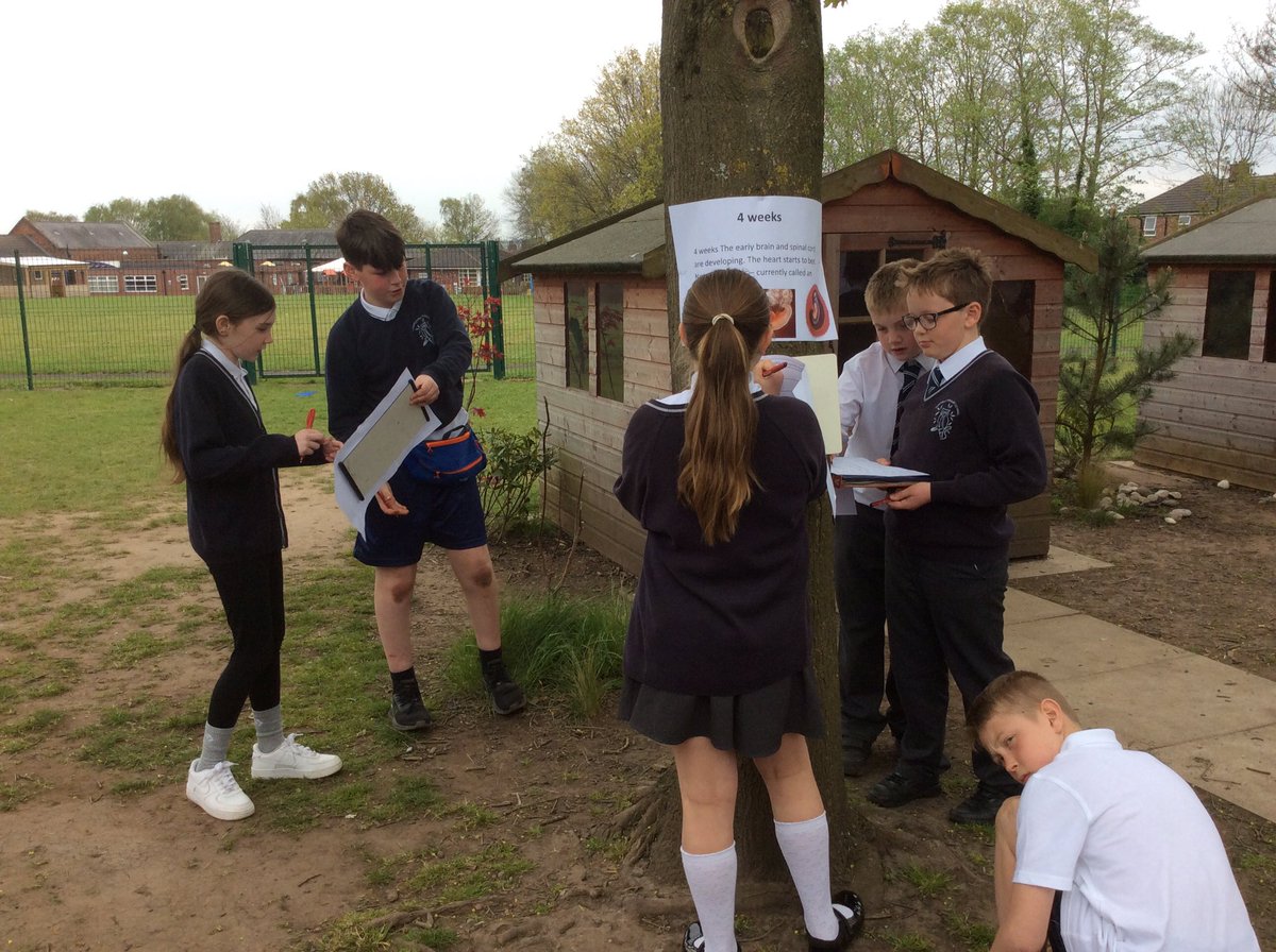 FPS_5_Ravenclaw's tweet image. Science investigation of baby development.#fpsscience