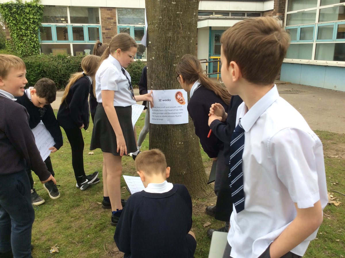 FPS_5_Ravenclaw's tweet image. Science investigation of baby development.#fpsscience