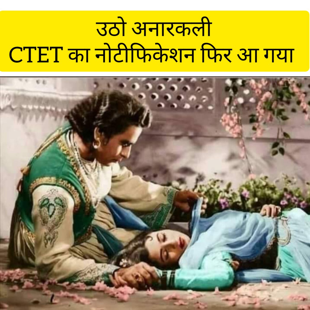 RahulTripathi_1's tweet photo. सरकार भी गजब सूतिया काट रही है। 🤣
#CTET
#CTETnotification
#ctet2023 #ctet https://t.co/VTn5Ghdst4