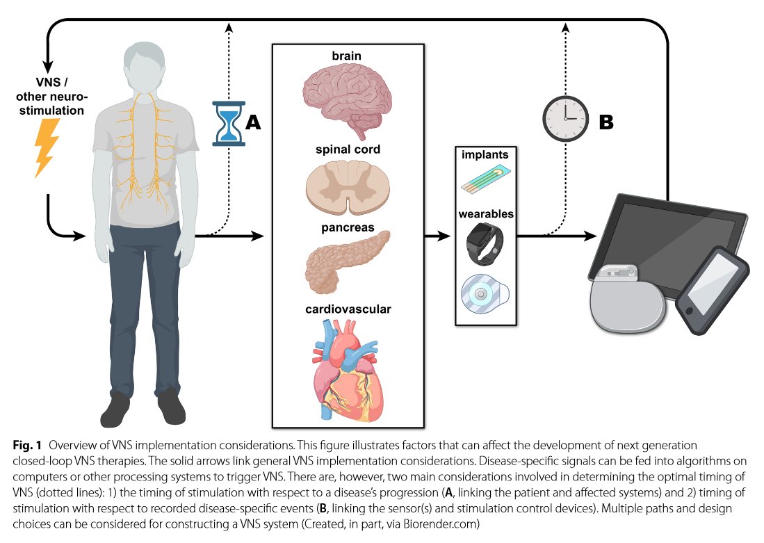 ♨ off press: "Importance of timing optimization for closed‑loop applications of vagus nerve stimulation"—lead by Ramanamurthy "Raja" Mylavarapu from <a href="/ganzerlab/">Patrick Ganzer</a>—in <a href="/BioelectronicM/">Bioelectronic Medicine - Journal</a>. 

Stim'ing vagus? Timing matters, and differently based on goals. 

👉 doi.org/10.1186/s42234…