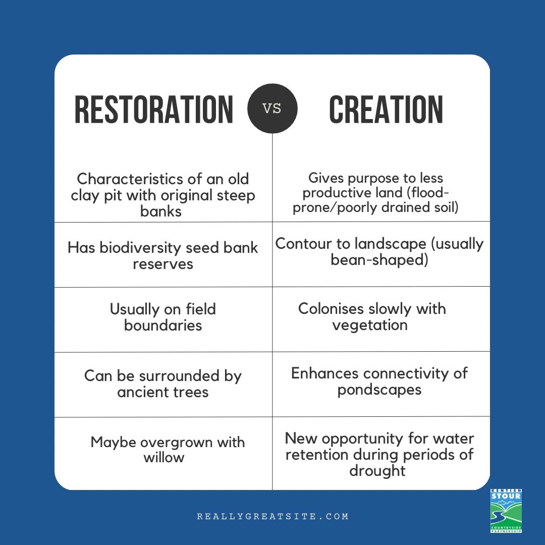 Swipe ➡️ to find out more about our exciting Great Crested Newt scheme funded by Natural England as part of district level licensing! Email us to see if your land is viable for a fully funded pond 💧🎉
#districtlevellicensing 
#greatcrestednewts #NaturalEngland