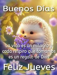 @IsabelTeresaSu4 @Alvarex2808 @Dark_nigthh @UrriolaCandanga @MkPatriota @MamJosefina1 @Salo_049 @RosnierAvilan @CoromotoFi88432 @IsabelTeresaSu3 @JoseGuaina23 @AnaisS203 @anarug54321 @YuniBurgos @Ana_RoGV @Michell70380832 @IsabelTeresaSu6 @JoseLanza_17097 @josefin41580416 @Hoyo84993911 @BelkysPrimera2 @derwin62713583 @tarazonadixon2 @twitera_soy @Alexandracoaf Buenos Días @IsabelTeresaSu4 🌻
gracias por la mención!🌷
Feliz Día 🙏

@SoyRuby4 💎

#LevantenElBloqueoYa
#27Abr