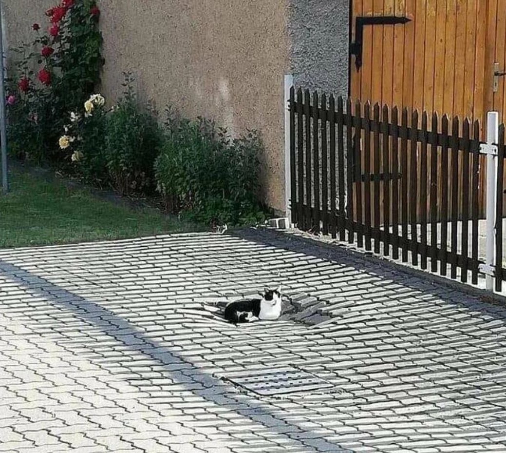 an angel who fell from heaven