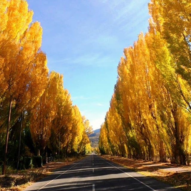 Otoño y sus hermosas vistas...
Realizando el circuito de Buenos Aires chico, podrás encontrarte con esta bella postal.

Te dejo aquí el enlace:
turismoelmaiten.wixsite.com/patagonia/circ…