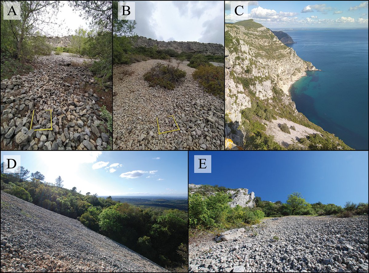 Subterranean Biology (@subtbiol) on Twitter photo Researchers propose a new method for mapping #colluvial mesovoid shallow substratum #habitats. It allows the remote detection of such habitats suitable for #invertebrate communities ex situ: doi.org/10.3897/subtbi…
<a href="/UCPH_Research/">University of Copenhagen Research</a> <a href="/FC_UL/">eChanges fc.ul.pt</a> @SReboleira <a href="/ReboleiraLab/">Subterranean Ecology</a> Researchers propose a new method for mapping #colluvial mesovoid shallow substratum #habitats. It allows the remote detection of such habitats suitable for #invertebrate communities ex situ: doi.org/10.3897/subtbi…
<a href="/UCPH_Research/">University of Copenhagen Research</a> <a href="/FC_UL/">eChanges fc.ul.pt</a> @SReboleira <a href="/ReboleiraLab/">Subterranean Ecology</a>
